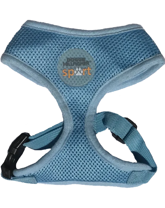 SPORT HARNESS & LEAD SET IN BLUE