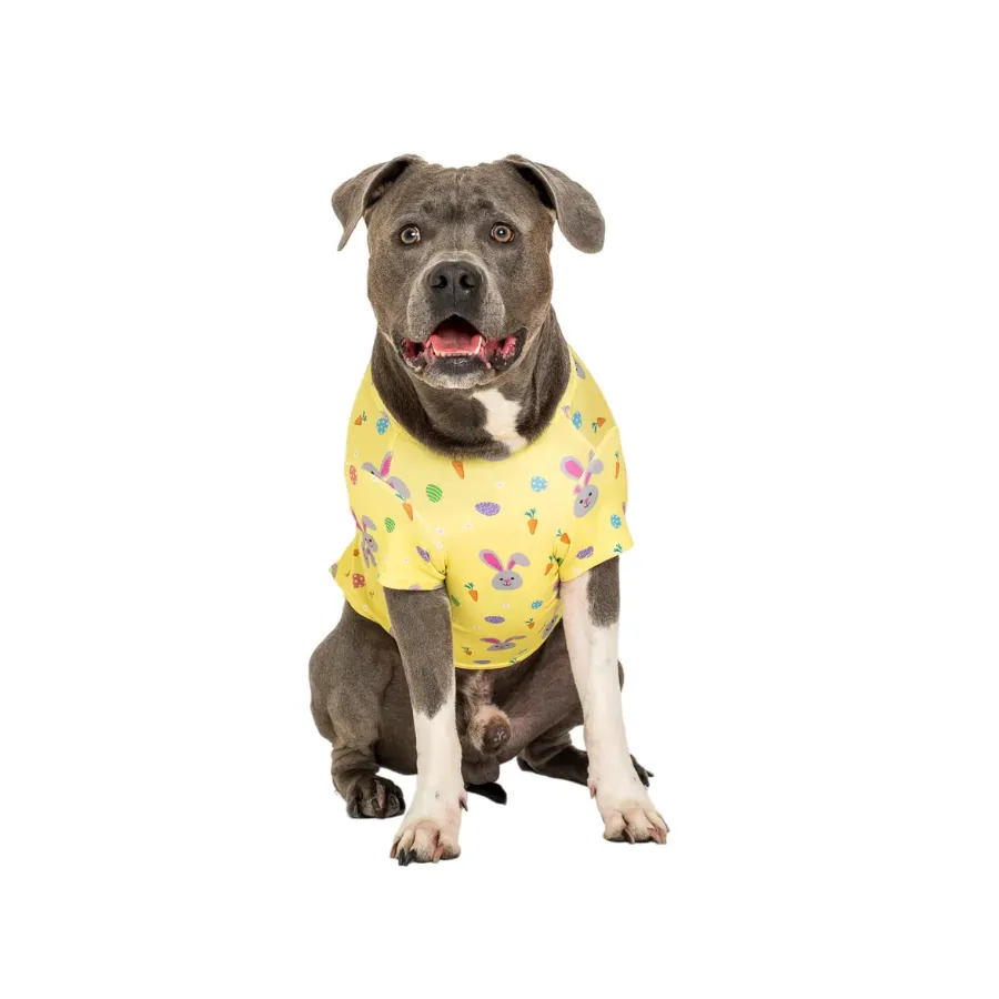 Vibrant Hound Easter Delight Tshirt