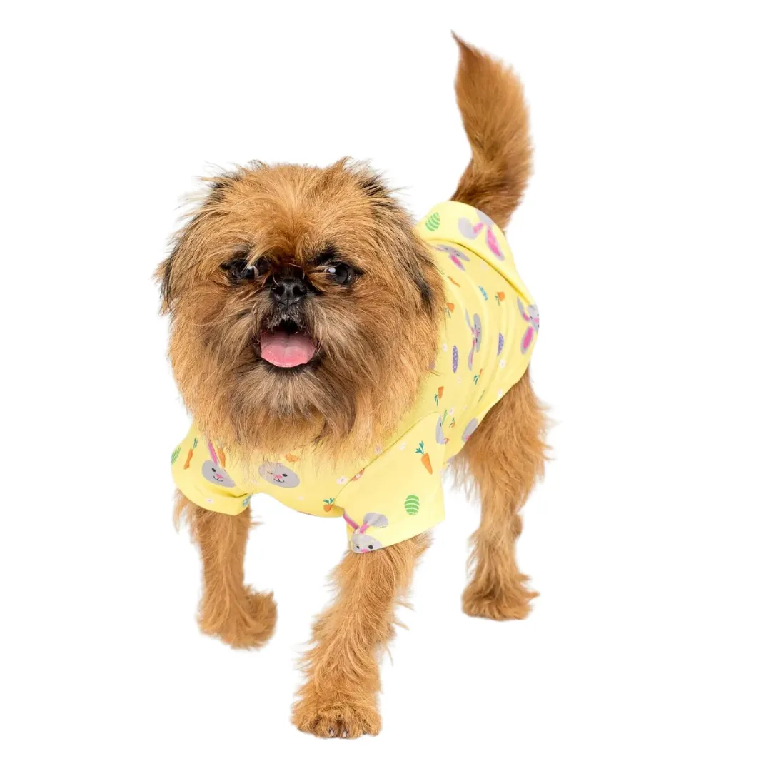 Vibrant Hound Easter Delight Tshirt